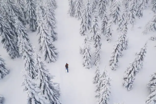 Snowshoes walker in snowy spruce forest. Aerial view of winter outdoor leasure activity and extreme sport.