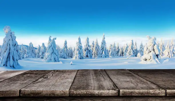 Winter snowy spruce tree forest panoramic view with old wooden planks. Ideal for product placement. High resolution image