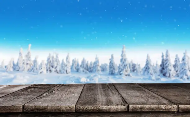 Winter snowy spruce tree forest panoramic view with old wooden planks. Ideal for product placement. High resolution image