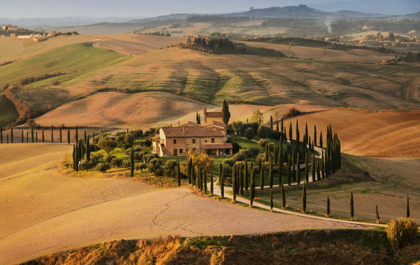 golden autumn in val d'orcia, tuscany. italy. tuscany landscape. europa - val dorcia imagens e fotografias de stock