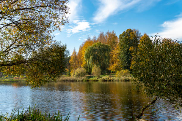 istock Autumn foliage casts reflection on the calm waters 1089470850