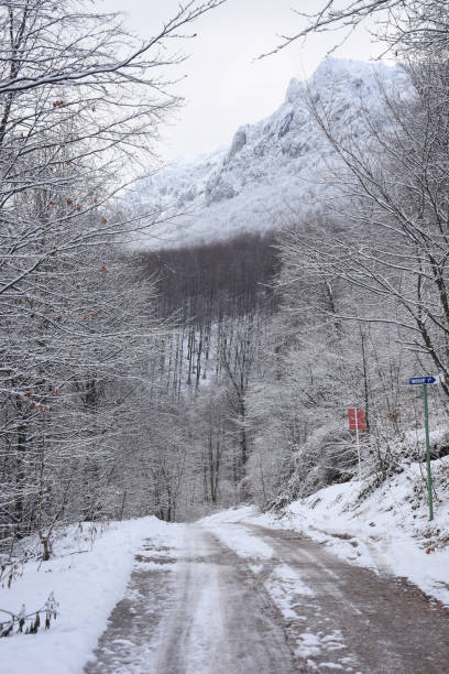 istock Way to a winter mountain 1089472472
