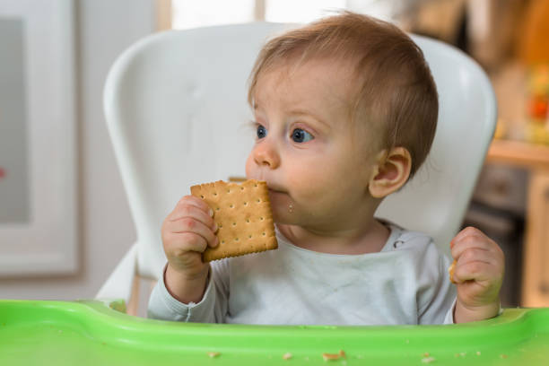 istock little baby boy eating biscuits at home 1089472956