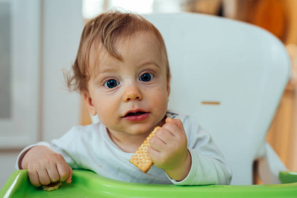 istock little baby boy eating biscuits at home 1089473136