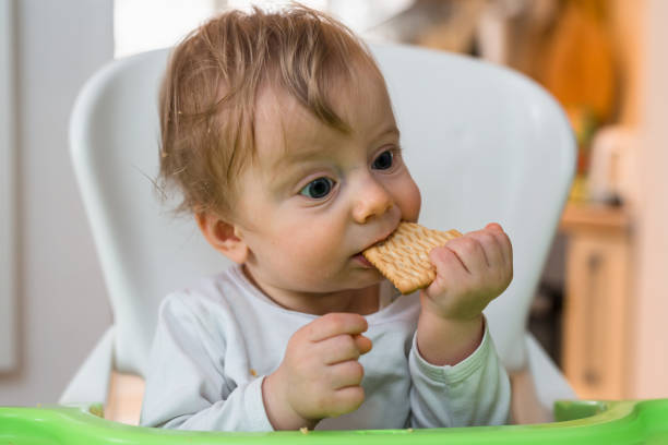 istock little baby boy eating biscuits at home 1089473186