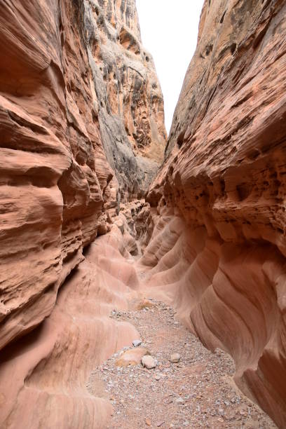 istock Little Wild Horse Canyon, Utah 1089475754