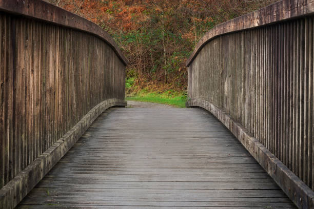 istock Country park wooden bridge 1089477088