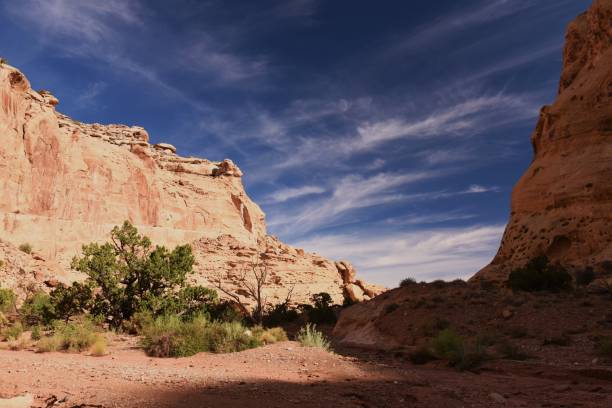 istock Little Wild Horse and Bell Canyons, Utah 1089483804