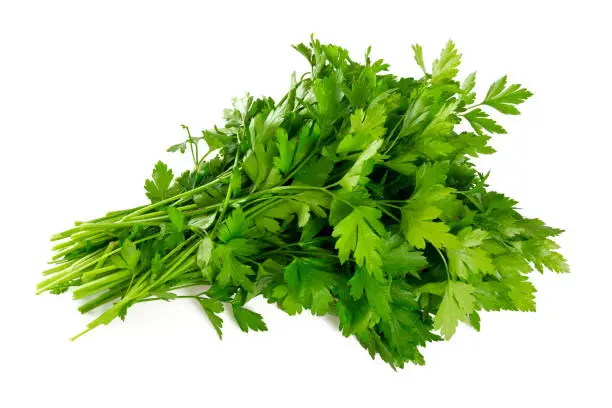 Photo of bunch of fresh parsley leafs isolated on white