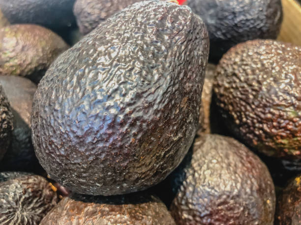 istock Avocado also refers to the Avocado tree's fruit, which is botanically a large berry containing a single seed. Avocados are very nutritious and contain a wide variety of nutrients. Selective focus. 1089494476