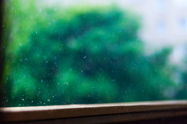 istock Summer rain raindrops falling down on wooden handle of balcony railings on blurred trees background 1089506316