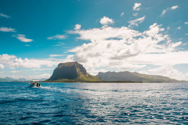 istock Swimming with dolphins in Le Morne Mauritius. 1089509564
