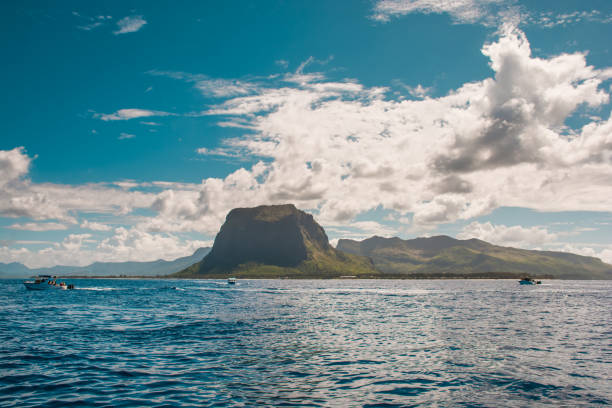 istock Swimming with dolphins in Le Morne Mauritius. 1089509566
