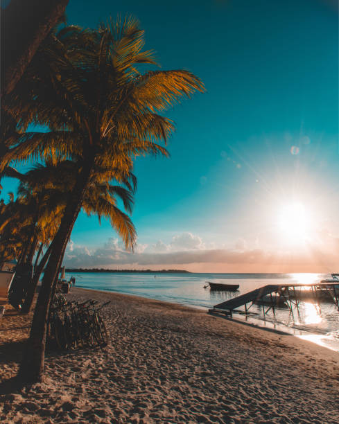istock Trou aux biches.Tropical exotic beach with palms and clear blue water. 1089511188