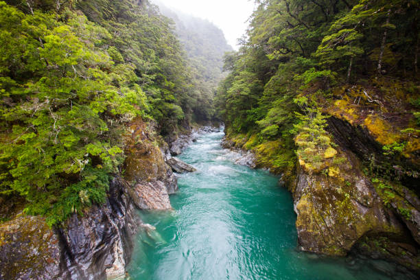 istock Blue Pools Walk in New Zealand 1089523586