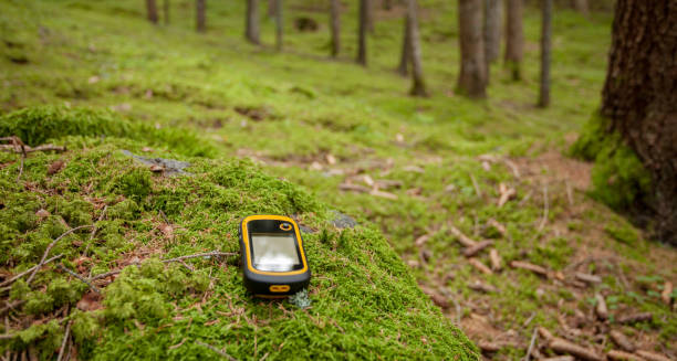 istock finding the right position in the forest with a gps 1089524744