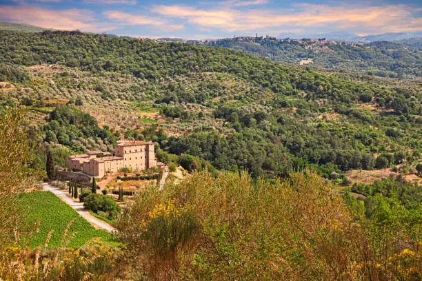 Seggiano, Grosseto, Tuscany, Italy: landscape of the mountains with olive groves, vineyards and the ancient castle of Potentino, in the background the town Castel del Piano