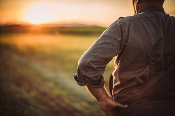 istock Farmer enjoys in sunset at the field 1089525382