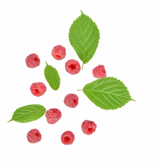 istock Top view of raspberries isolated on white background 1089531476