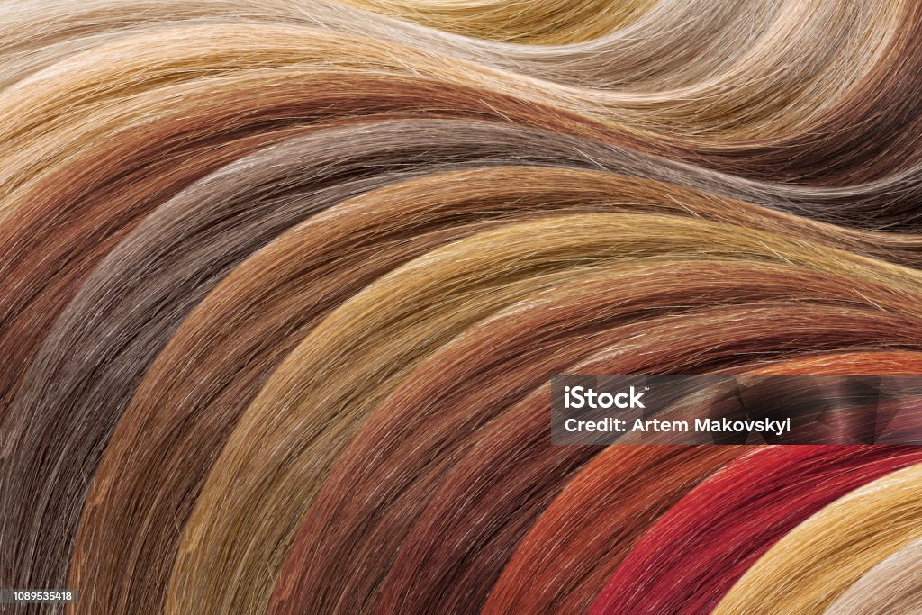 Hair Colors Palette As Background Dyed Samples Stock Photo - Download Image  Now - Hair, Hair Dye, Hair Salon - iStock