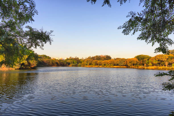 istock Ibirapuera Park 1089541260