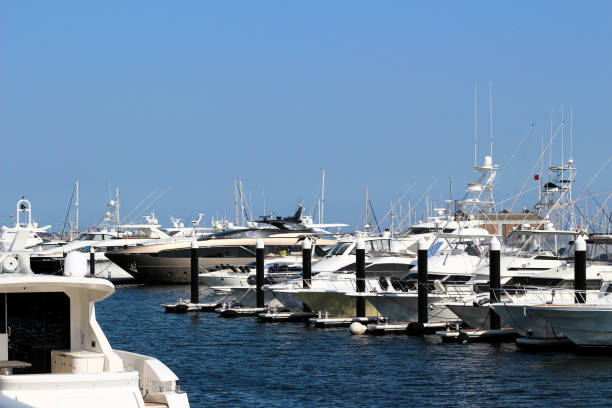 istock Gentle marina with luxury cruisers lined up 1089547756