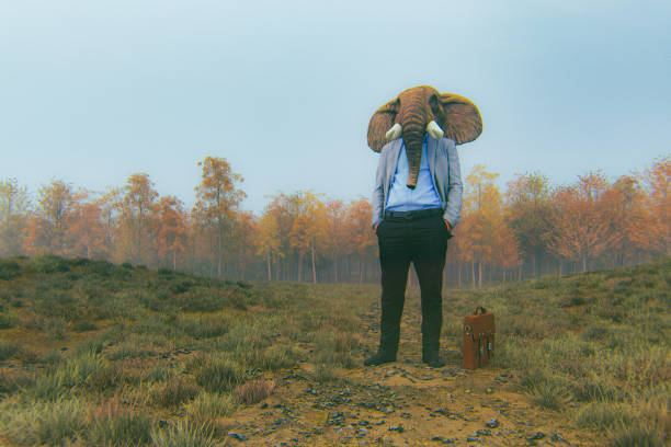Elephant businessman standing in the meadow