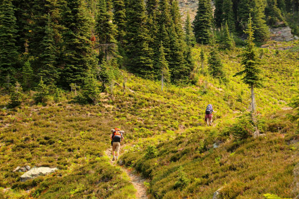 istock British Columbia Backcountry Hikers 1089560186