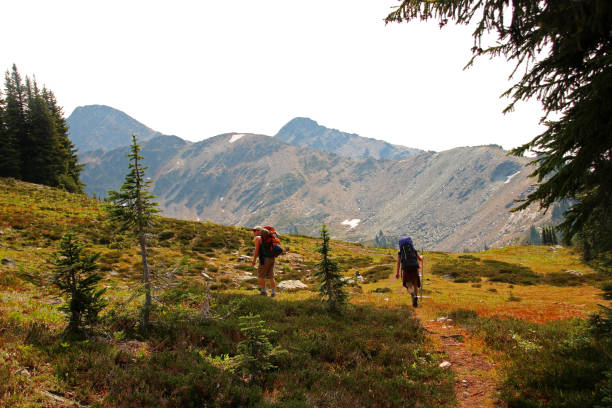 istock British Columbia Backcountry Hikers 1089560224
