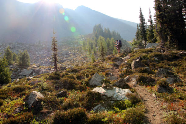 istock British Columbia Backcountry Hikers 1089560228