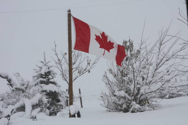 istock Snow and the Canadian flag 1089560258