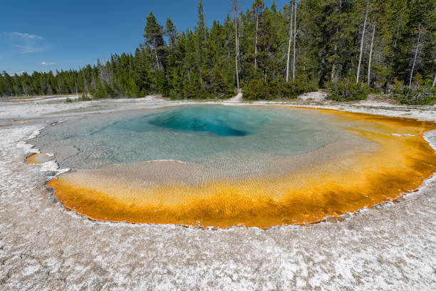 istock Colorful Hot Springs in Biscuit Basin 1089567484