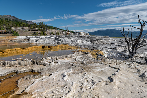 Mammoth Hot Springs is a large complex of hot springs on a hill of travertine in Yellowstone National Park. Wyoming, USA
