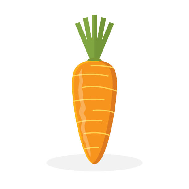 ilustrações, clipart, desenhos animados e ícones de cenoura - carrot