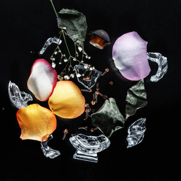 perfumes set on black background with flowers - 5600 imagens e fotografias de stock