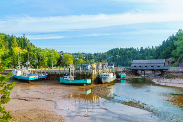 istock Harbor at low tide, in St. Martins 1089615424