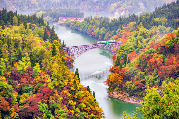 trem da linha jr tadami deparar na ponte rio tadami, mishima, fukushima no outono - região de tohoku - fotografias e filmes do acervo