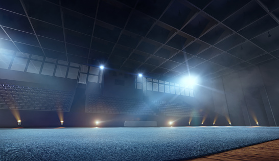 3D estadio gimnasia rítmica photo