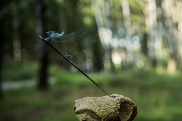 istock Indian incense lit smoking stick against the forest. 1089635462