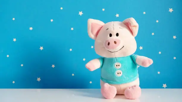 Photo of Beautiful plush piggy toy on the white tabletop in room