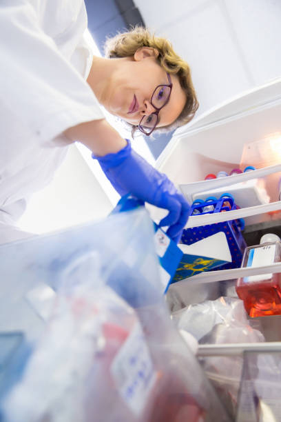 istock Researcher Tidying Laboratory and Searching Growth Mediums and Buffer Solutions for Tissue Culture Work 1089636076