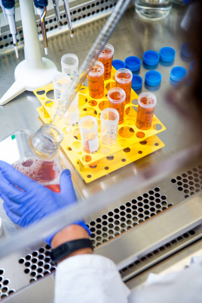 istock Female Researcher Prepaing Tissue Cultures 1089636158