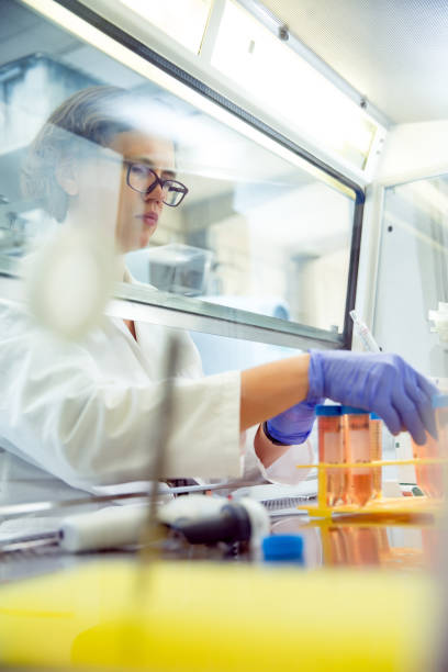 istock Female Researcher Working in Laboratory 1089636168