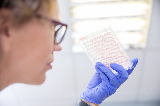 istock Female Researcher Holding Scientific Sample Palette and Looking at it 1089636198
