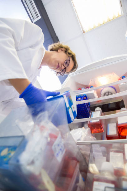 istock Researcher Tidying Laboratory and Searching Growth Mediums and Buffer Solutions for Tissue Culture Work 1089636254