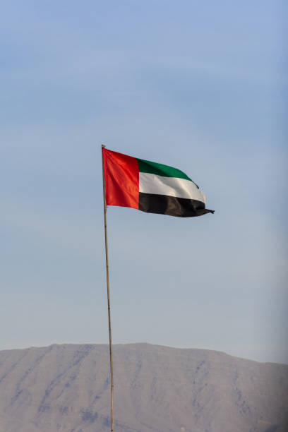 istock UAE Flag blowing in the wind with mountain and blue sky background. 1089656086