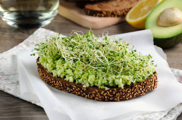 Sandwich of tender, juicy germinated alfalfa and avocado sprouts on slices of rye bread with cereals. This is a great idea for those who watch their health. stock photo