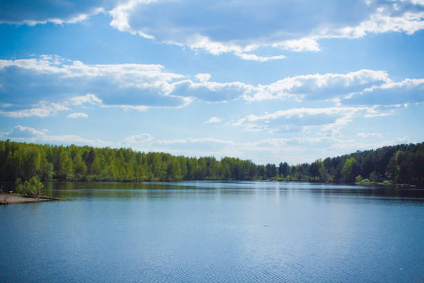 a picturesque lake on a sunny day, on the shore - a forest