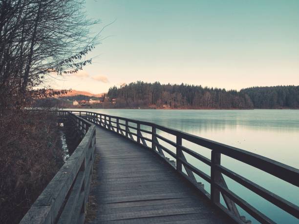 istock Wooden footpath by the lake. 1089679808