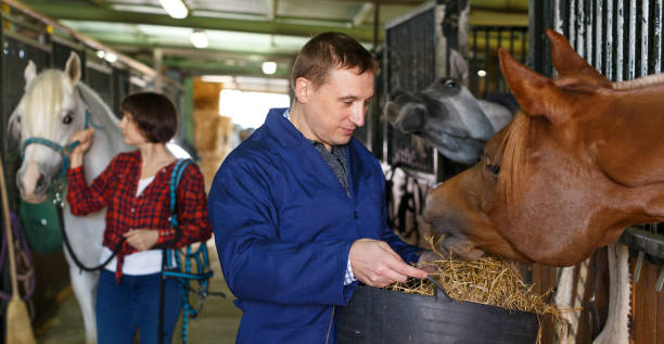 istock Farm worker feeding horse with hay 1089680214
